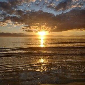 Meet your Posher, Bradi